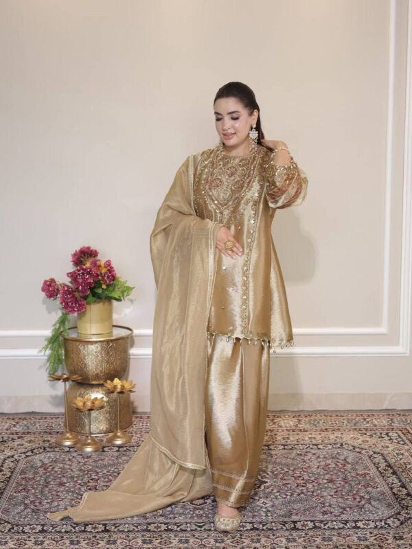 WhatsApp Image 2026-08-30 at 15.02.06 Champagne Gold Embroided 3pcs Shalwar