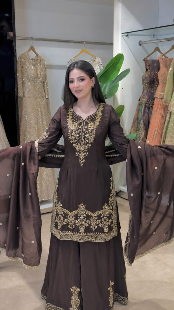 Brown Embroided Sharara